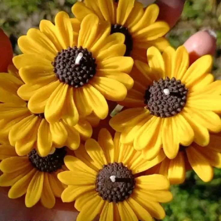 Agradecimiento y trayectoria de Lumin