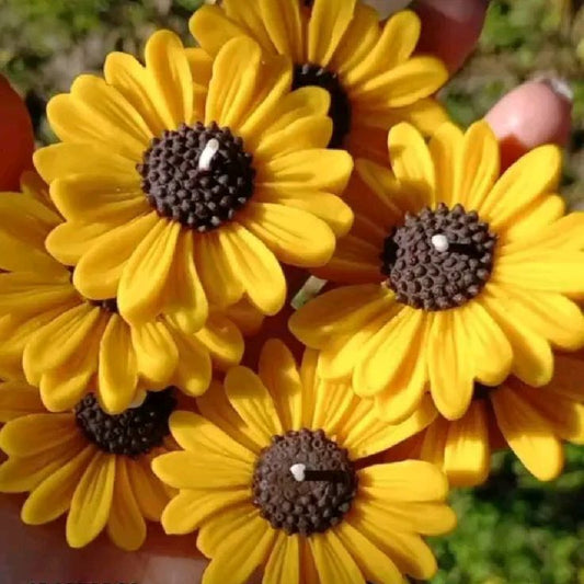 Agradecimiento y trayectoria de Lumin