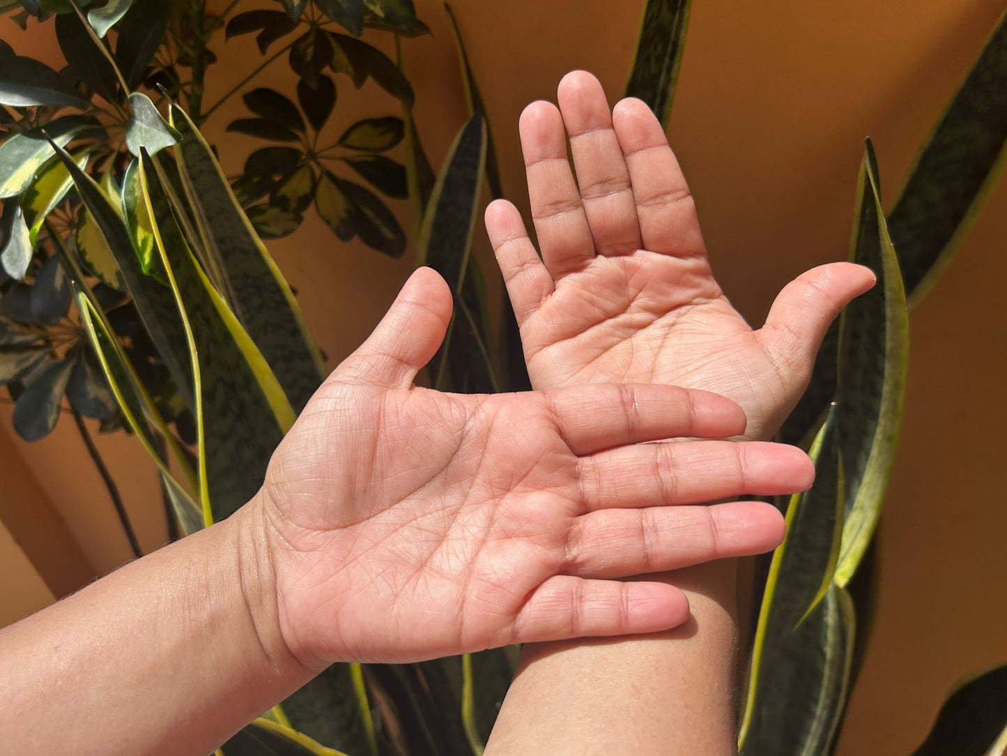 Jabón Hidratante de Zanahoria y Coco