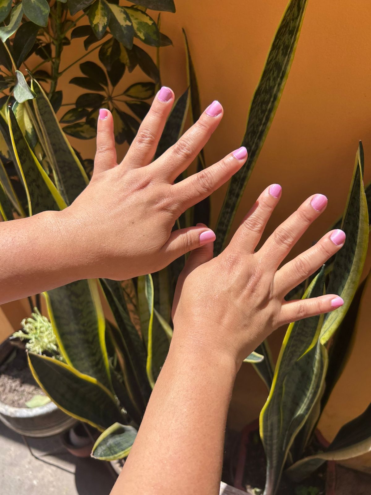 Jabón Exfoliante de Café y Cacao con Aceite de Mandarina